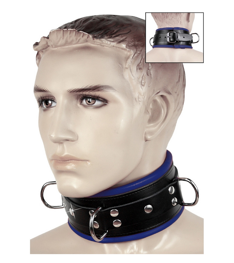 Padded Neck Collar - BLUE/BLACK