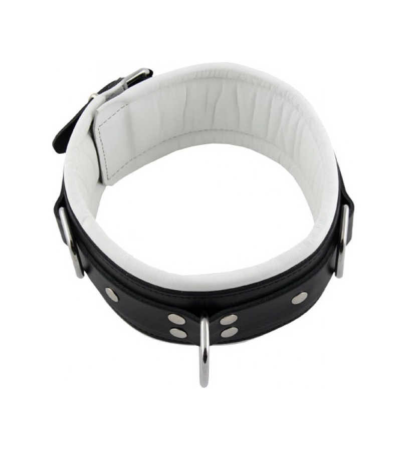 Padded Neck Collar - WHITE/BLACK